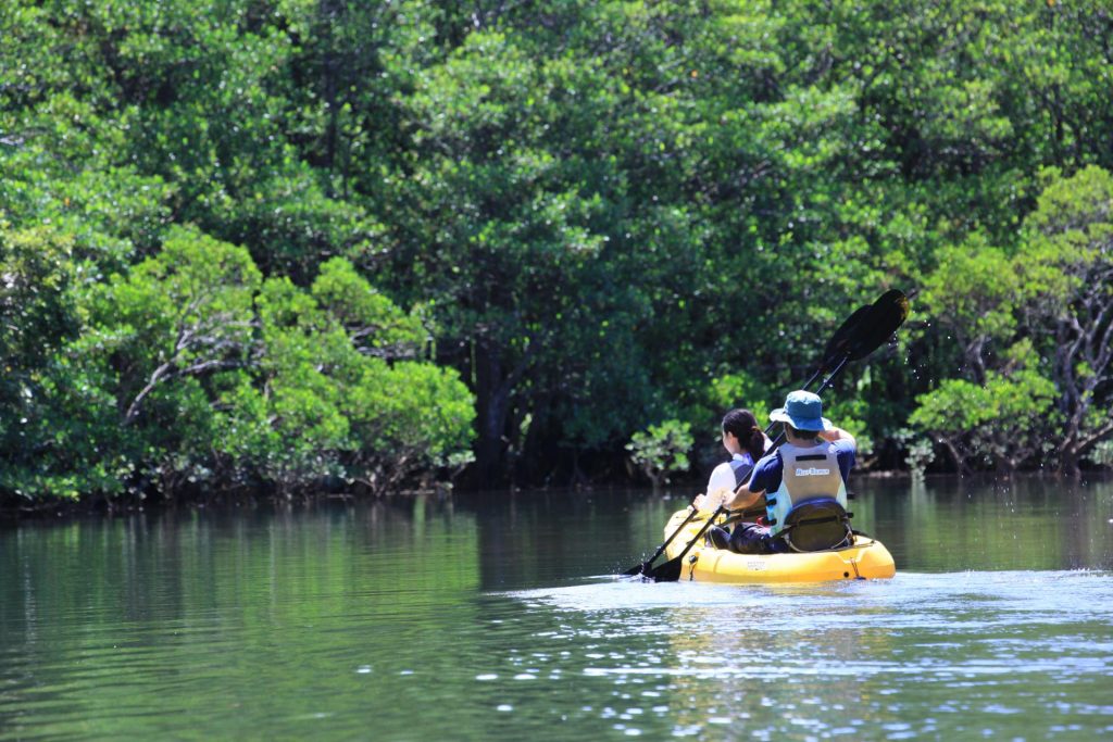 Iriomote Outdoor Japan Kayaking